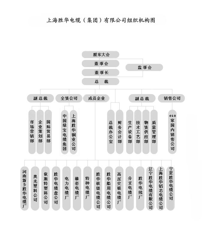 胜华电缆组织机构